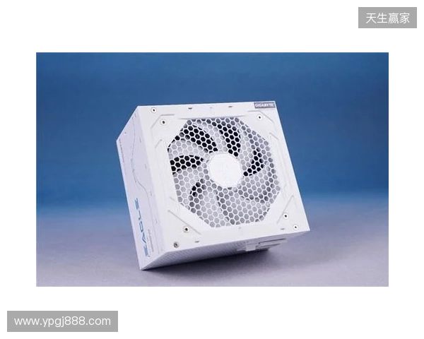 黑白双鹰，白金降临：技嘉猎鹰 冰猎鹰白金电源4月27日开售